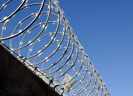 Razor Wire